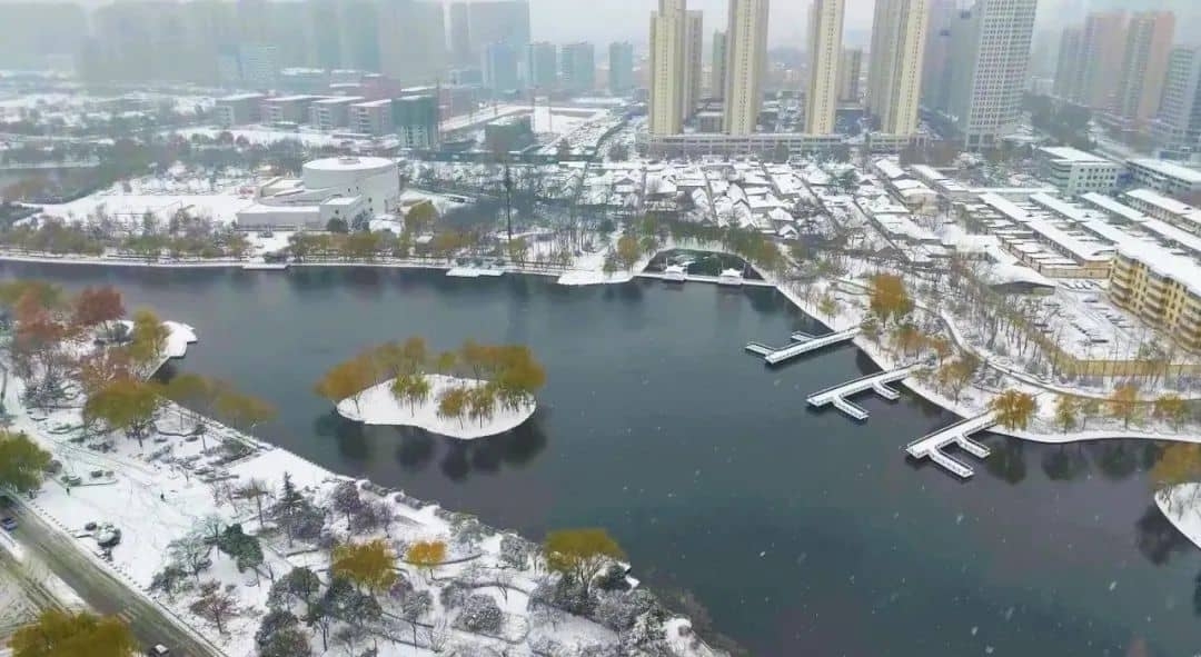 菏澤最美的雪景，是你！