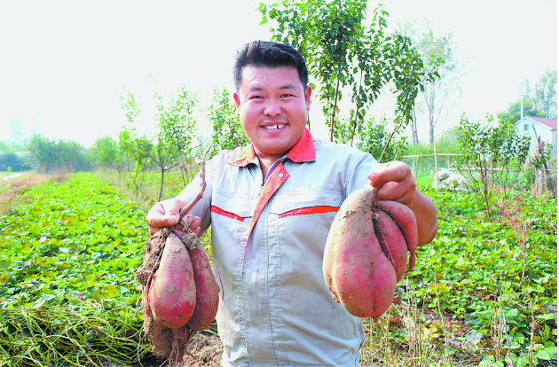 生態(tài)循環(huán)農(nóng)業(yè)鼓起農(nóng)民“錢袋子”