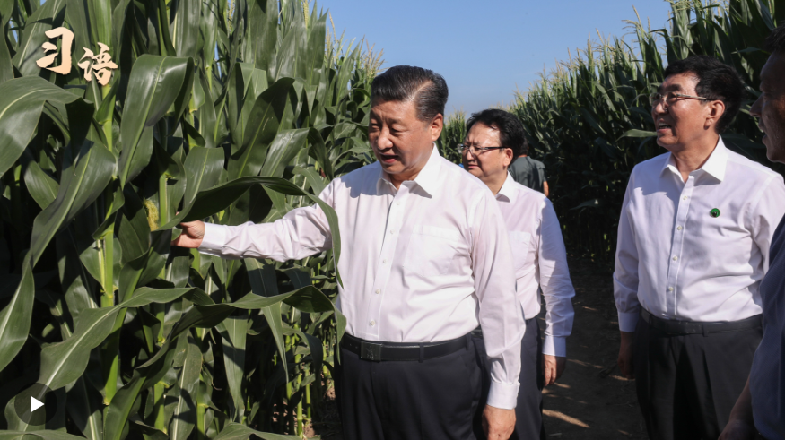 習(xí)語(yǔ)｜“農(nóng)，天下之大業(yè)也”