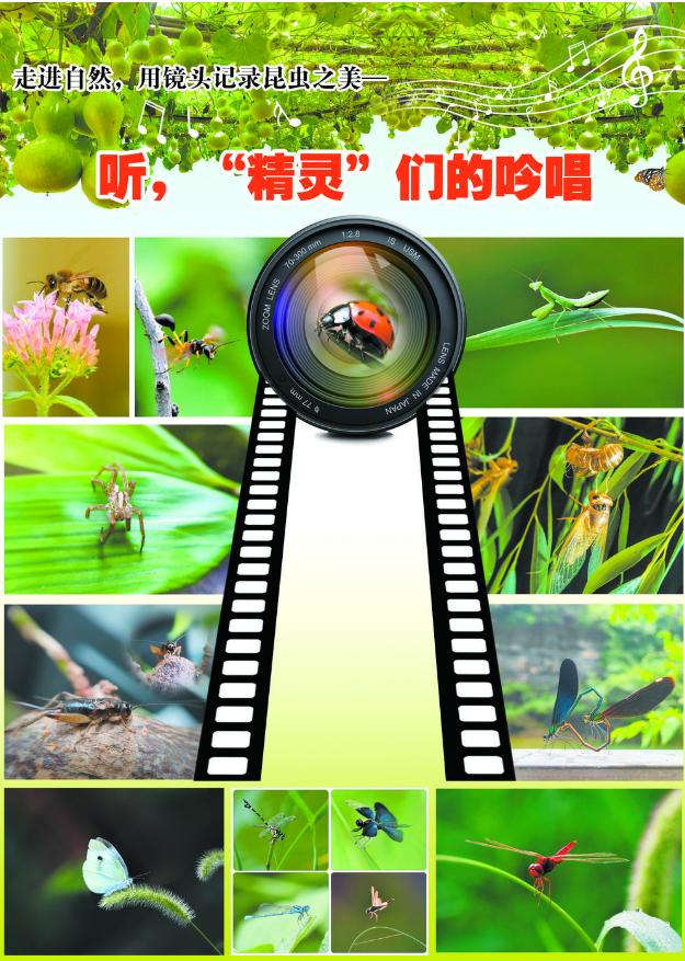 聽(tīng)，“精靈”們的吟唱