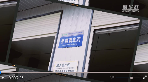 探尋農(nóng)村新動能 走進蝦青素工廠
