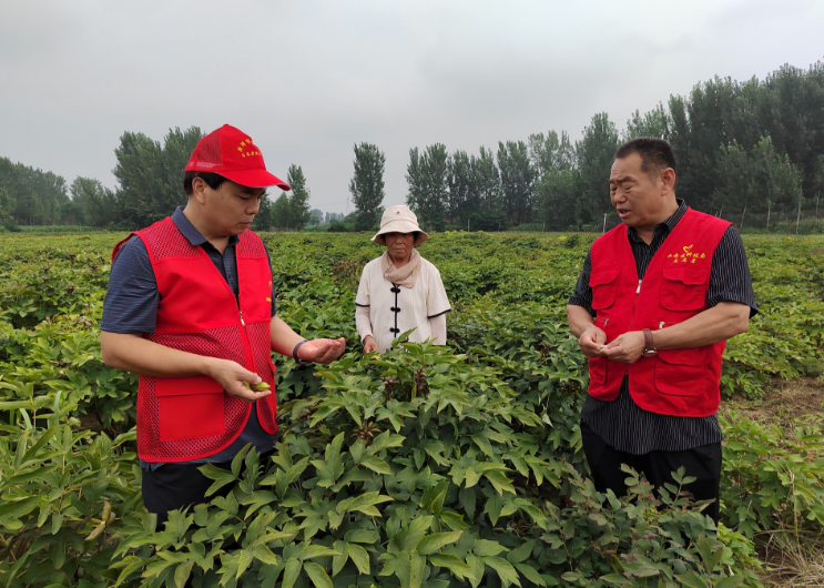 菏澤市科技特派員:  送科技下鄉(xiāng)為鄉(xiāng)村振興添智增力
