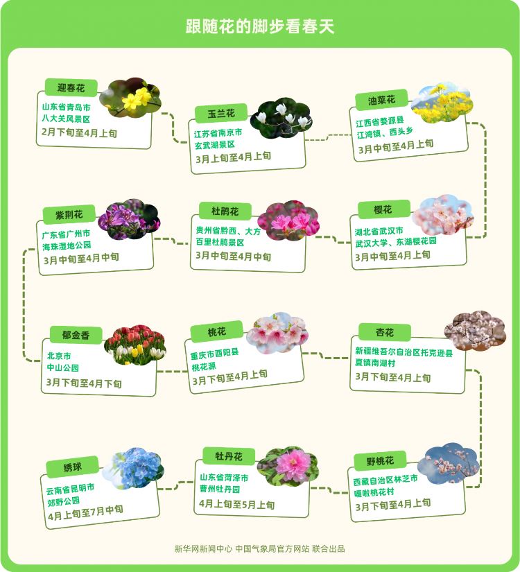 點亮全國春季賞花地圖，2025年菏澤牡丹觀賞最全攻略來了！
